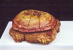 Tortoise